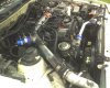 supra1-5-28-07.JPG