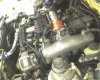 supra2-5-28-07.JPG