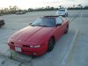 DSC04774.JPG