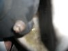 DSCF2371.jpg