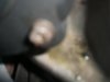 DSCF2372.jpg