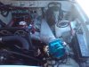 DSC00173.JPG