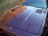 white 90 from nc 192.jpg