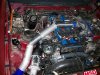 bov rt2.jpg bov rt2.jpg