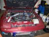bov rt4.jpg bov rt4.jpg
