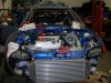 bov rt5.jpg bov rt5.jpg