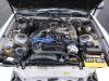 SUPRA 015.jpg