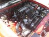 supra11.jpg