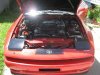 supra8.jpg