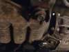 Differential bolt 001.jpg Differential bolt 001.jpg