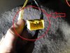 harness2.JPG harness2.JPG