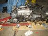 DSC00747.jpg