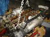 DSC00750.jpg
