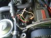 IMG00409-20111002-1453.jpg