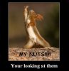 my-nuts-640x658.jpg