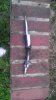 IMAG0469.jpg