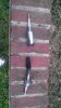 IMAG0470.jpg