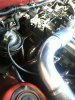 supra done3.jpg