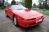 supra1.jpg