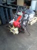 IMG384.jpg IMG384.jpg