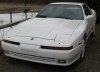 Supra Web.jpg Supra Web.jpg