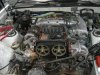 supra2.JPG supra2.JPG