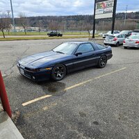 IMG_20231106_193312_919.jpg