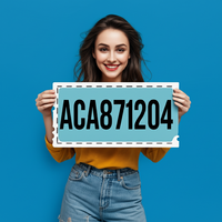 ACA871204.png ACA871204.png