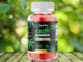 Terra-Pro-CBD-Gummies.png Terra-Pro-CBD-Gummies.png