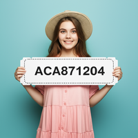 ACA871204.png ACA871204.png