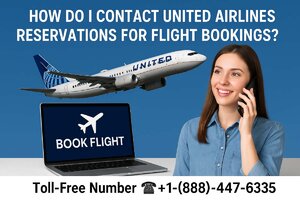 How Do I Contact United Airlines Reservations for Flight Bookings.jpg