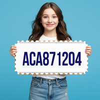 ACA871204.png ACA871204.png