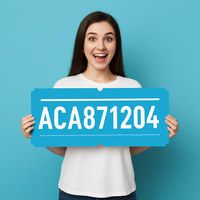 ACA871204.png ACA871204.png
