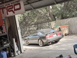 IMG_9395.jpeg