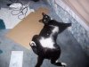 000_1453.jpg