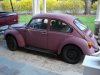 bug 005.jpg