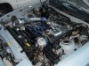 dsc05554.jpg