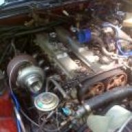 7mMoneyPit