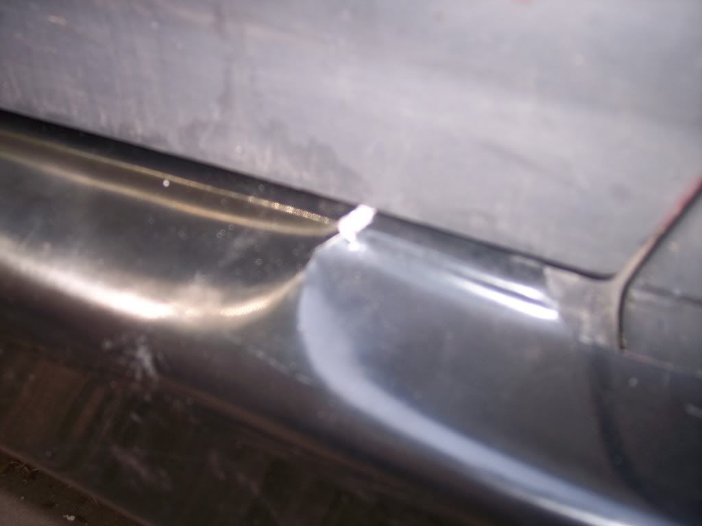 p1007033_2.jpg