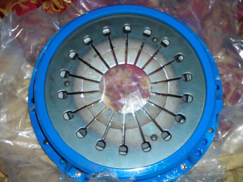 p1009828_4.jpg
