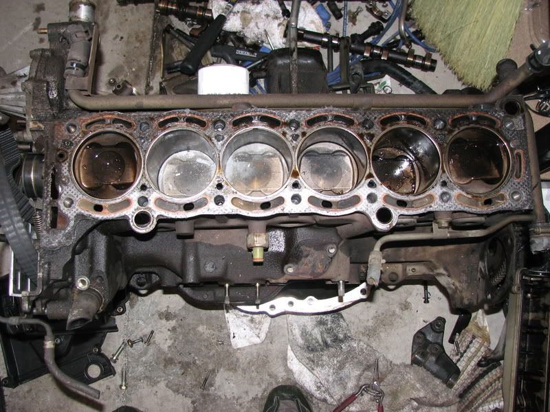 p1016804_1.jpg