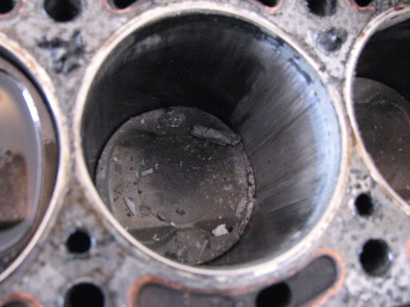p1016804_2.jpg