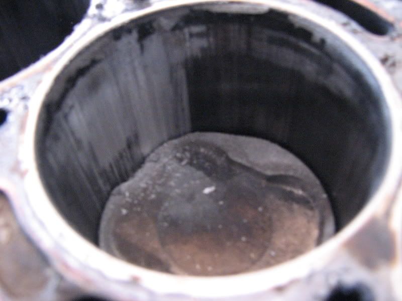 p1016804_3.jpg