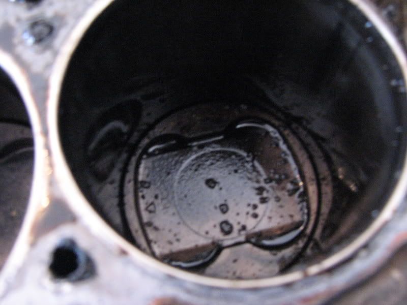 p1016804_4.jpg