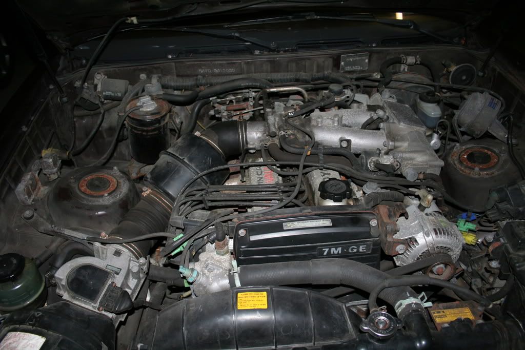 p1019493_1.jpg