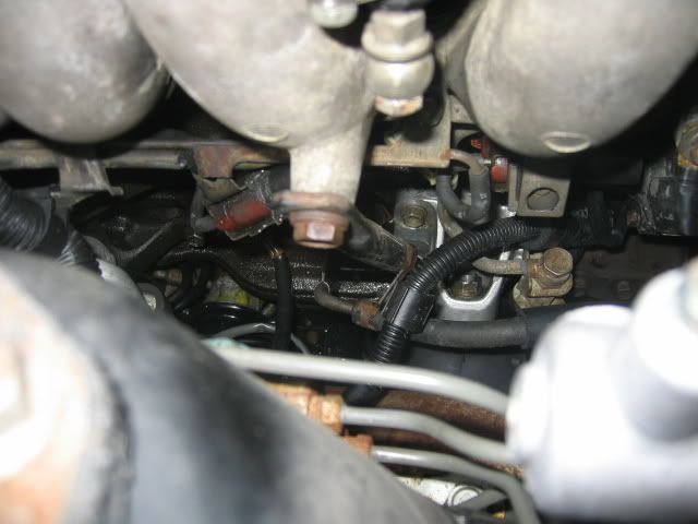 p1024263_2.jpg