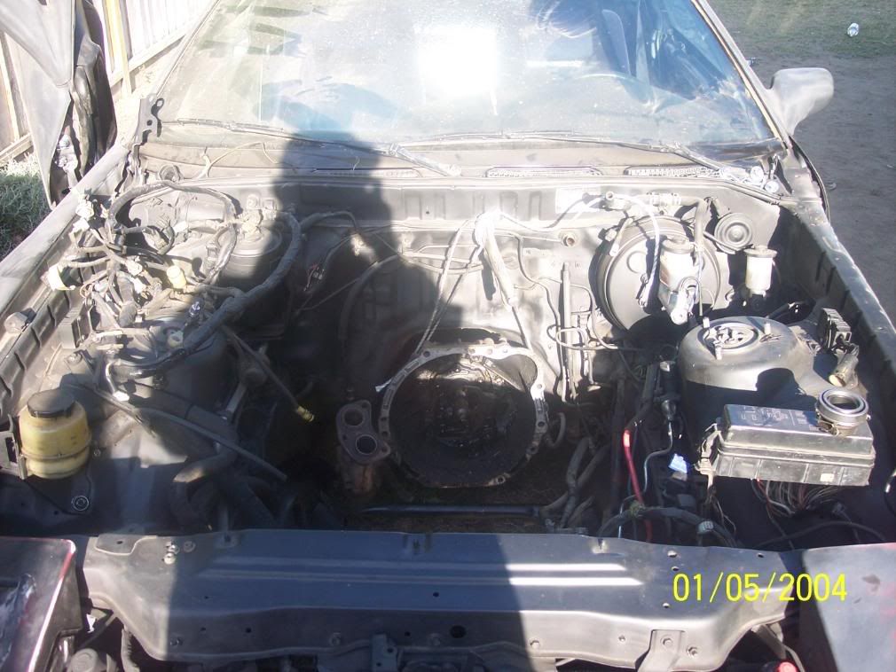 p1024928_3.jpg