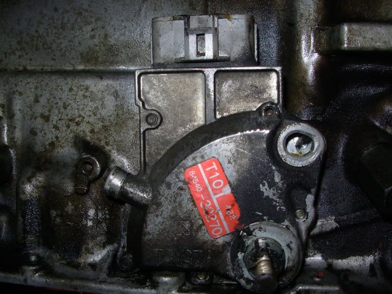 p1025085_3.jpg