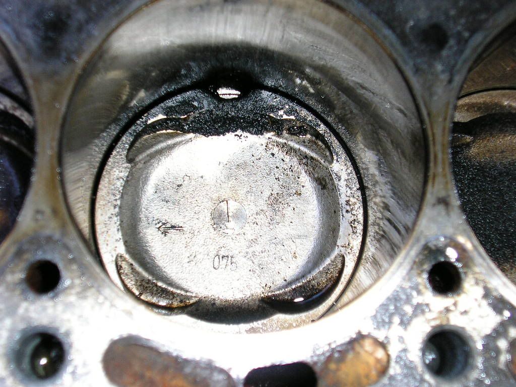 p1027437_1.jpg