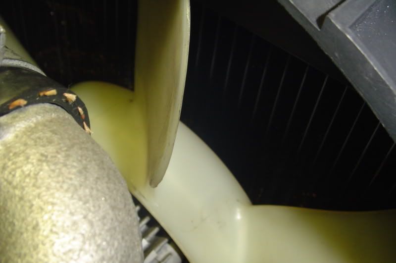 p1032724_4.jpg